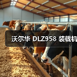 沃尔华 DLZ958 装载机（图1）