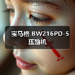 宝马格 BW216PD-5 压路机（图1）