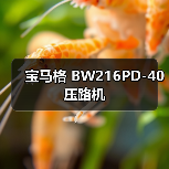 宝马格 BW216PD-40 压路机（图1）