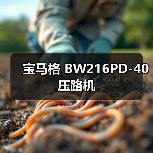 宝马格 BW216PD-40 压路机（图2）