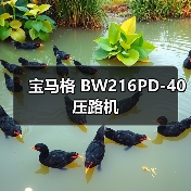 宝马格 BW216PD-40 压路机（图4）