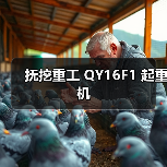抚挖重工 QY16F1 起重机（图2）