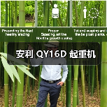 安利 QY16D 起重机（图4）