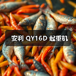 安利 QY16D 起重机（图2）
