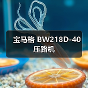 宝马格 BW218D-40 压路机（图2）