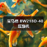 宝马格 BW218D-40 压路机（图4）