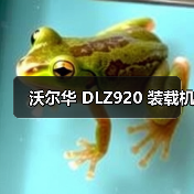沃尔华 DLZ920 装载机(图3) 沃尔华 DLZ920 装载机(图3)