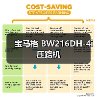 宝马格 BW216DH-4i 压路机（图1）