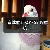 京城重工 QY75E 起重机（图3）
