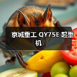 京城重工 QY75E 起重机（图4）