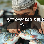 徐工 QY80K5D-5 起重机（图3）