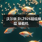 沃尔华 DLZ926超低煤层 装载机（图3）