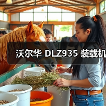 沃尔华 DLZ935 装载机(图2) 沃尔华 DLZ935 装载机(图2)