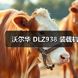沃尔华 DLZ938 装载机（图4）
