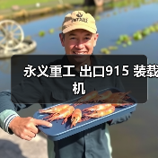 永义重工 出口915 装载机（图4）