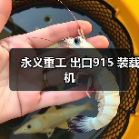 永义重工 出口915 装载机（图1）