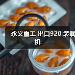 永义重工 出口920 装载机(图1) 永义重工 出口920 装载机(图1)