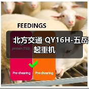 北方交通 QY16H-五岳 起重机(图1) 北方交通 QY16H-五岳 起重机(图1)