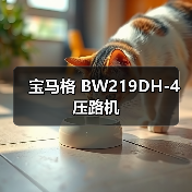 宝马格 BW219DH-4 压路机(图1) 宝马格 BW219DH-4 压路机(图1)