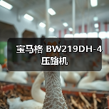宝马格 BW219DH-4 压路机(图3) 宝马格 BW219DH-4 压路机(图3)