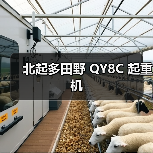 北起多田野 QY8C 起重机（图1）