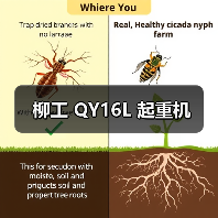 柳工 QY16L 起重机（图2）