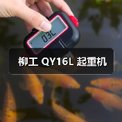 柳工 QY16L 起重机（图1）