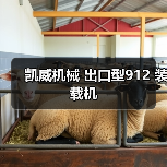 凯威机械 出口型912 装载机(图4) 凯威机械 出口型912 装载机(图4)