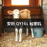 安利 QY16L 起重机(图1) 安利 QY16L 起重机(图1)