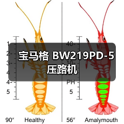 宝马格 BW219PD-5 压路机(图1) 宝马格 BW219PD-5 压路机(图1)