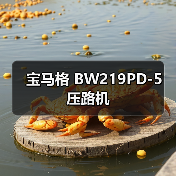 宝马格 BW219PD-5 压路机(图3) 宝马格 BW219PD-5 压路机(图3)
