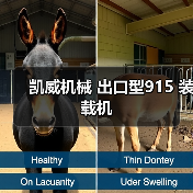 凯威机械 出口型915 装载机(图4) 凯威机械 出口型915 装载机(图4)