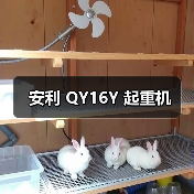 安利 QY16Y 起重机(图4) 安利 QY16Y 起重机(图4)