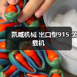 凯威机械 出口型915 装载机(图2) 凯威机械 出口型915 装载机(图2)