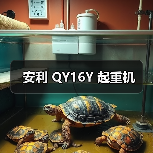 安利 QY16Y 起重机(图3) 安利 QY16Y 起重机(图3)
