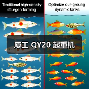 厦工 QY20 起重机（图3）