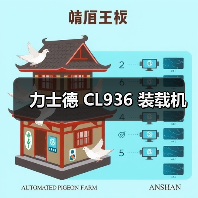 力士德 CL936 装载机