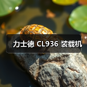 力士德 CL936 装载机（图4）