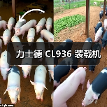 力士德 CL936 装载机（图2）