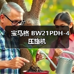 宝马格 BW21PDH-4 压路机