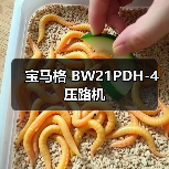 宝马格 BW21PDH-4 压路机（图2）