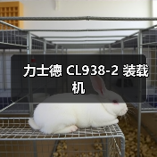 力士德 CL938-2 装载机（图2）