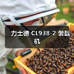 力士德 CL938-2 装载机（图3）