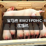 宝马格 BW21PDHC-4 压路机（图4）