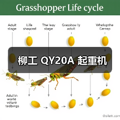 柳工 QY20A 起重机（图4）