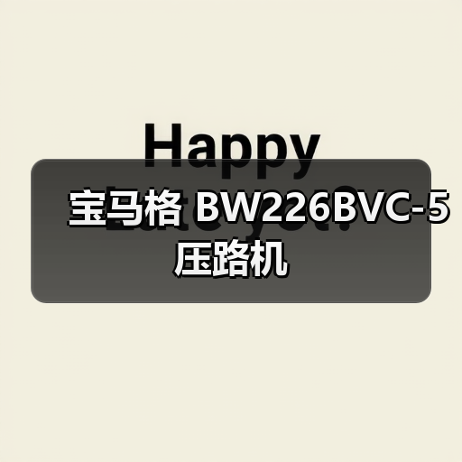 宝马格 BW226BVC-5 压路机（图3）