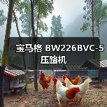 宝马格 BW226BVC-5 压路机（图2）