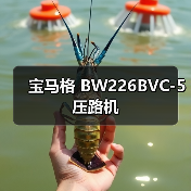 宝马格 BW226BVC-5 压路机（图4）