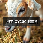 柳工 QY20C 起重机