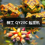 柳工 QY20C 起重机（图4）